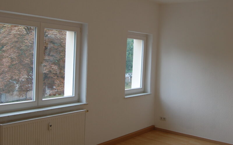 Wohn - Schlafzimmer